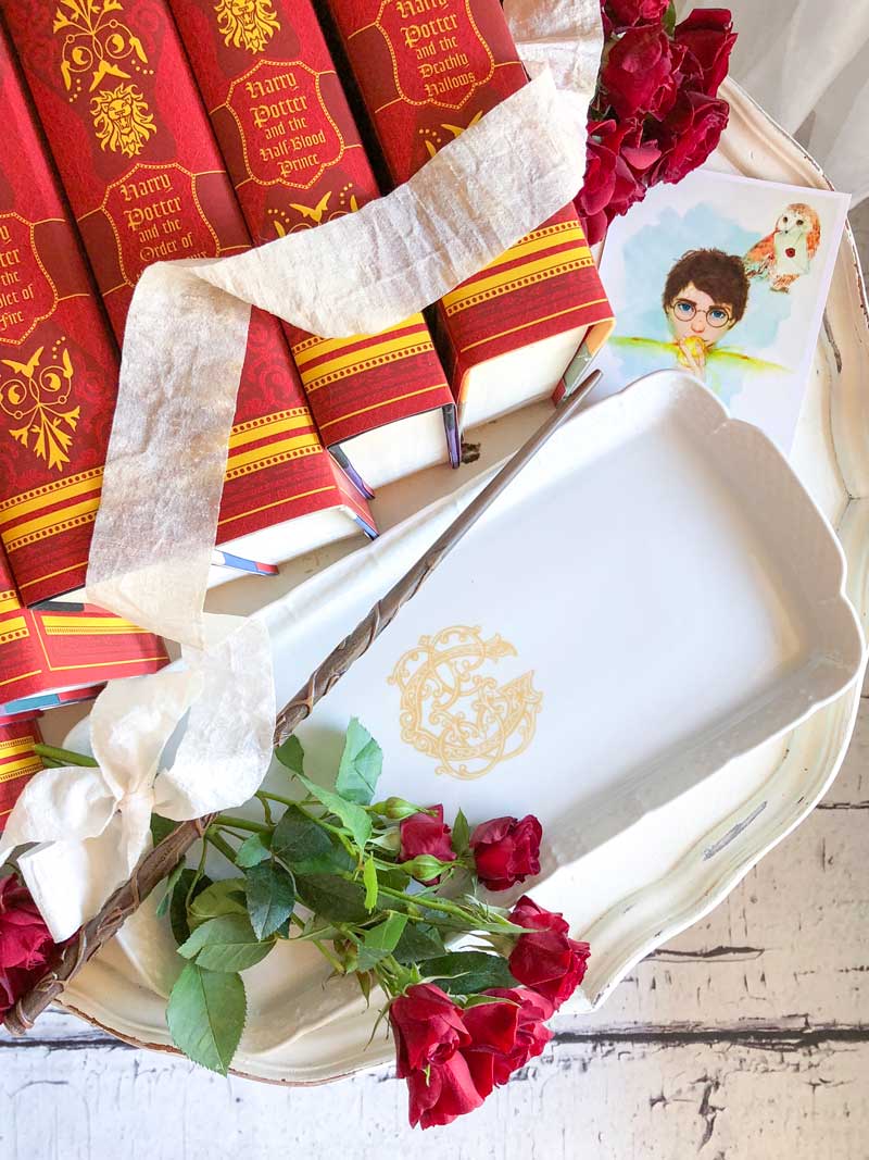 Literature Love - Celebrating Harry Potter & Shelf Styling with Suburban Crunchy Girl